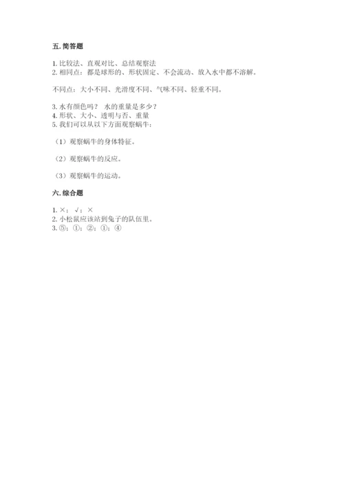教科版一年级下册科学期末测试卷含答案【精练】.docx