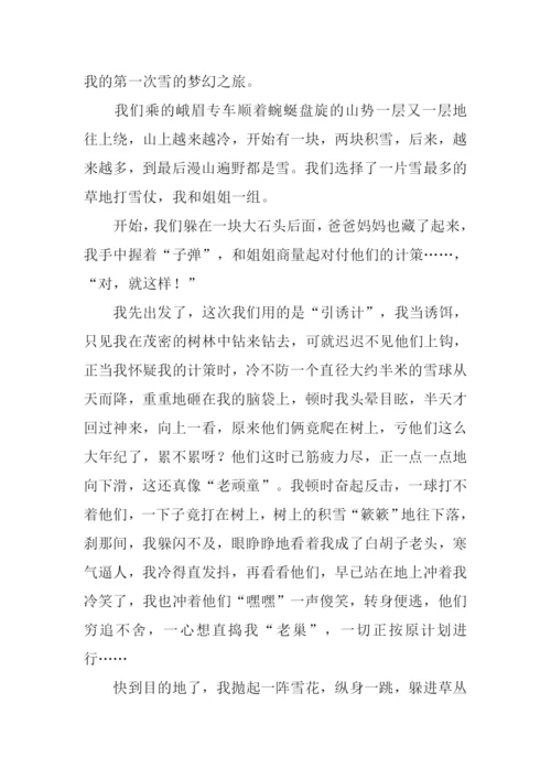 小学生作文打雪仗.docx