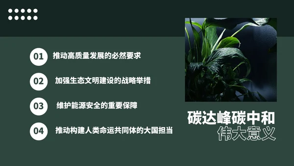 低碳经济碳达峰碳中和新理念PPT党课