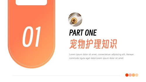 橙色渐变极简风健康护理培训PPT模板