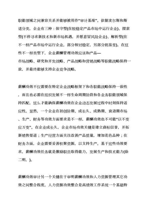 活动专项方案之薪酬审计工作专项方案.docx