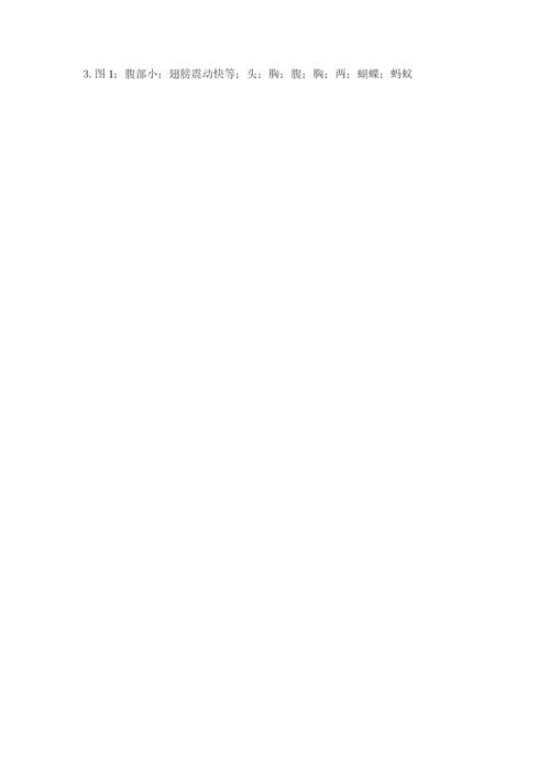 教科版科学三年级下册期末测试卷附参考答案【预热题】.docx