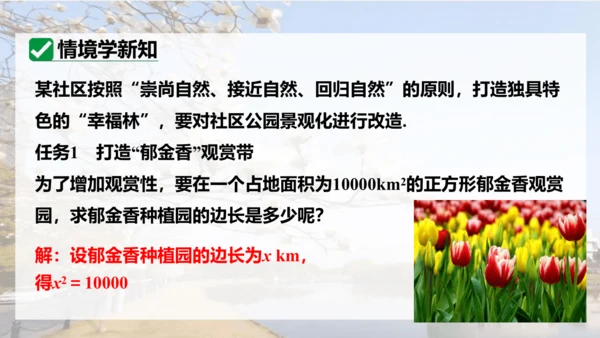 人教版数学九年级上册21.1 一元二次方程课件（共24张PPT）
