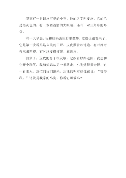 我家的小狗作文300字.docx