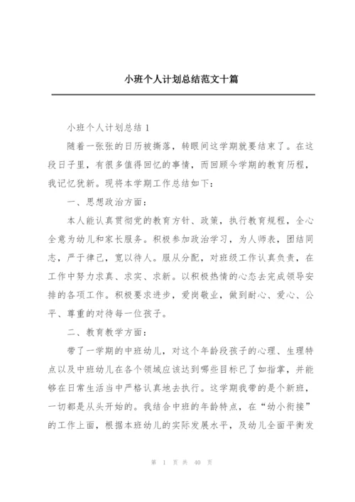 小班个人计划总结范文十篇.docx