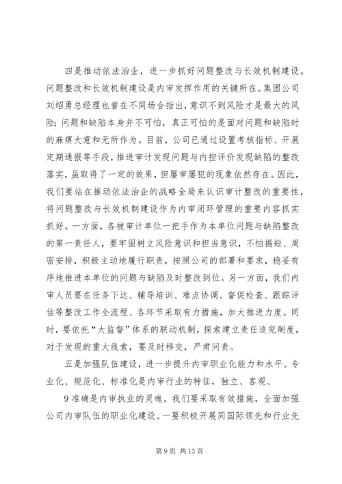 内审分管领导讲话(精) (2).docx