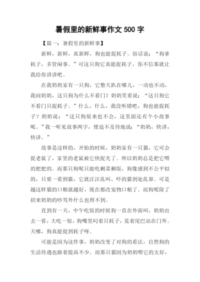 暑假里的新鲜事作文500字.docx