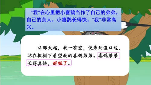 9《枫树上的喜鹊》第二课时课件