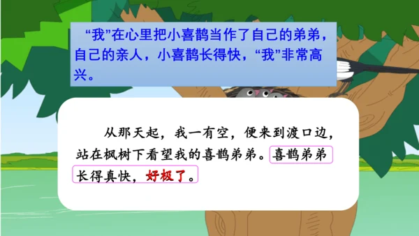 9《枫树上的喜鹊》第二课时课件