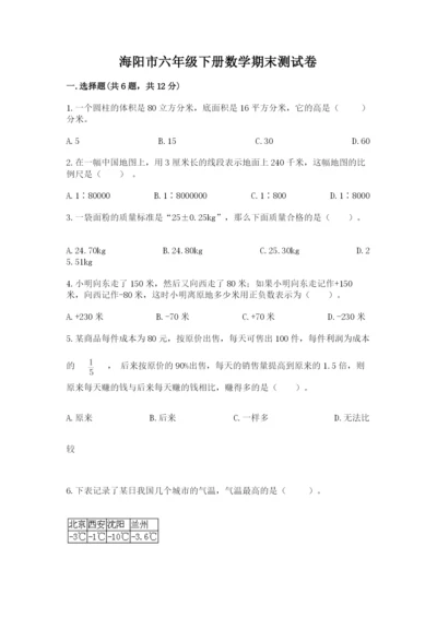 海阳市六年级下册数学期末测试卷及答案一套.docx