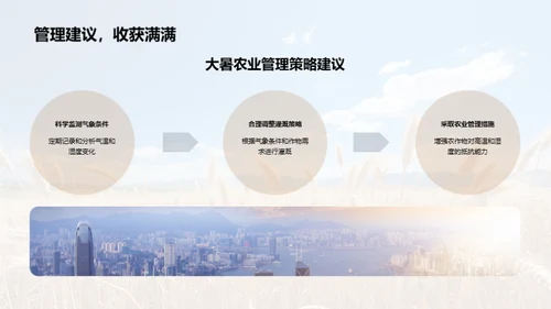 大暑农业应对策略