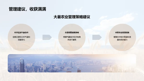 大暑农业应对策略