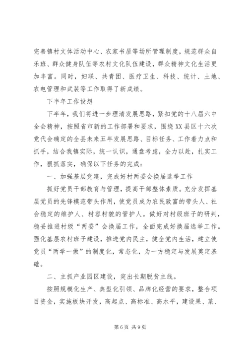 乡镇某年上半年工作总结及下半年工作设想.docx