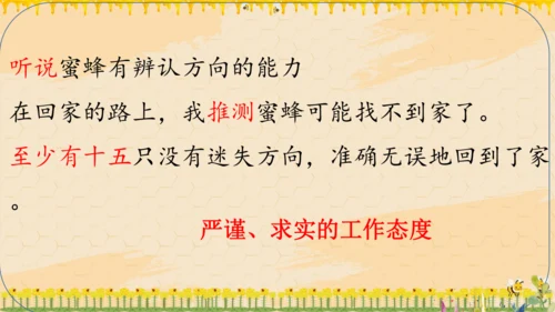 14《蜜蜂》课件