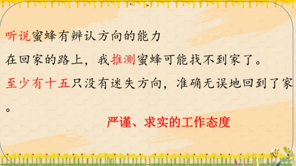 14《蜜蜂》课件