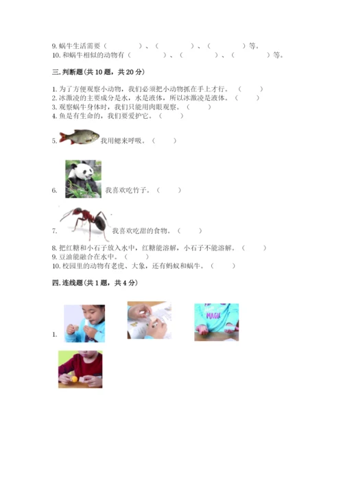 教科版一年级下册科学期末测试卷带解析答案.docx