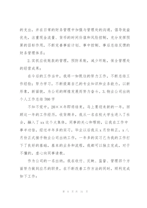物业公司出纳个人工作总结700字.docx