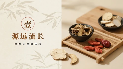 棕色实景简约风中医药传统文化科普介绍PPT模板