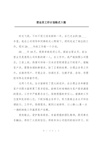 营业员工作计划格式5篇.docx