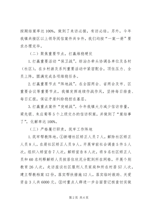 乡镇综治信访维稳中心工作总结.docx