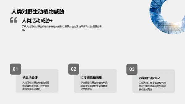 3D风其他行业教育活动PPT模板