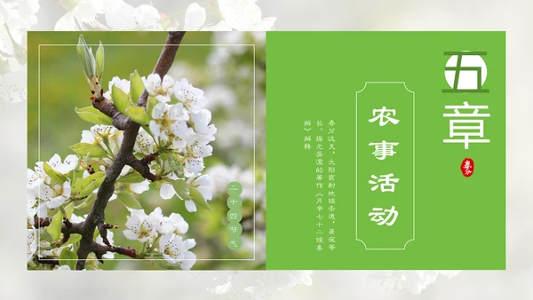 春分春天的白花通用PPT模板