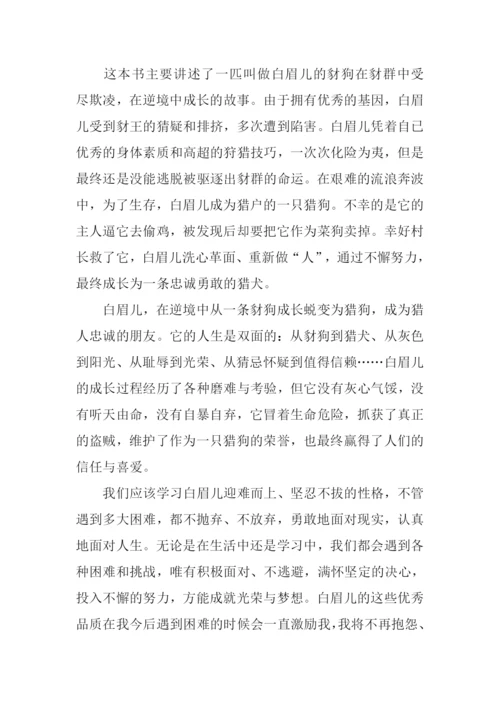 双面猎犬读后感.docx