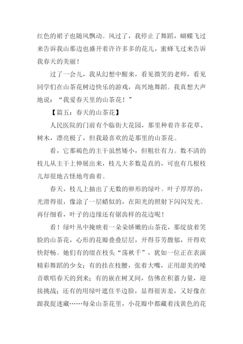 春天的山茶花作文600字.docx