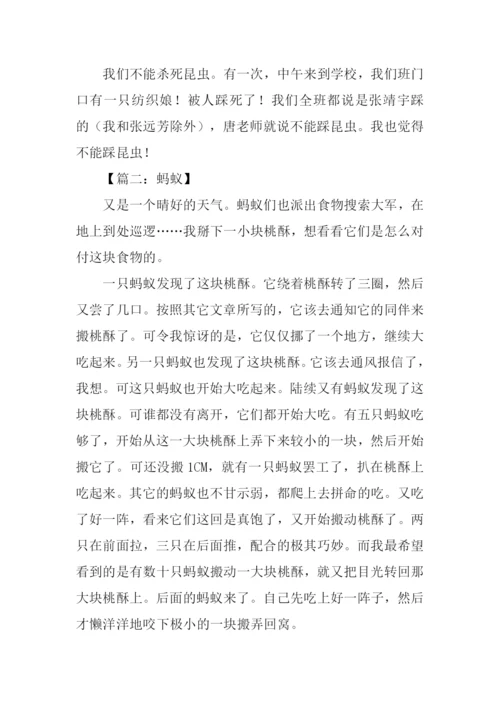 观察昆虫的小练笔.docx