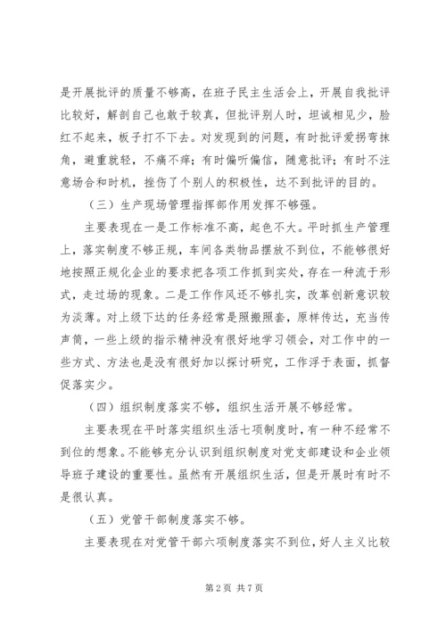 公司班子成员民主生活会剖析材料.docx