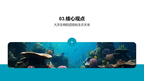 深海奥秘解析