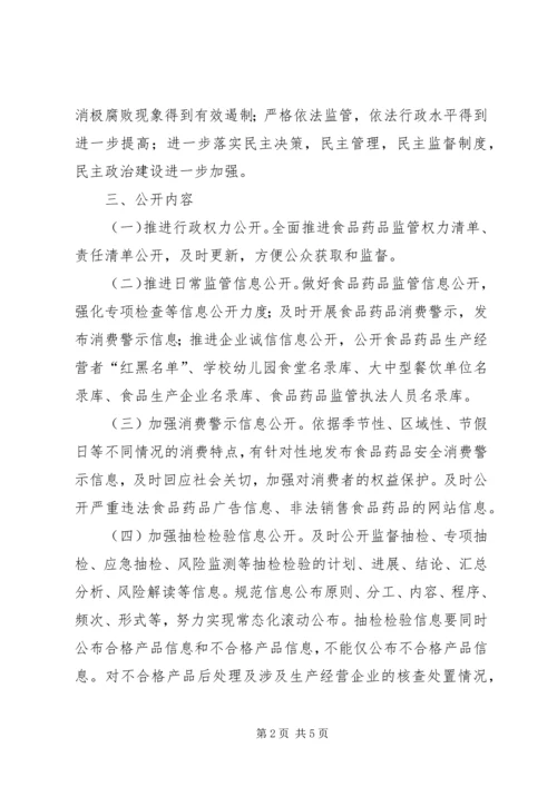 食药监局政务公开工作方案.docx