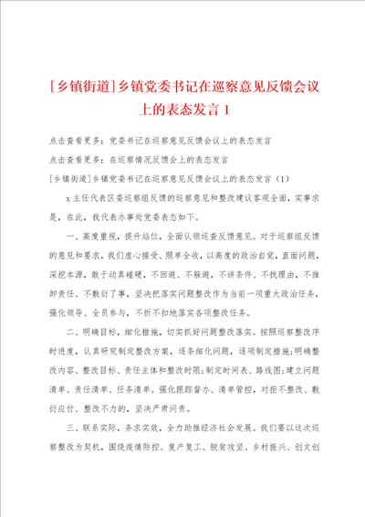 乡镇街道乡镇党委书记在巡察意见反馈会议上的表态发言1