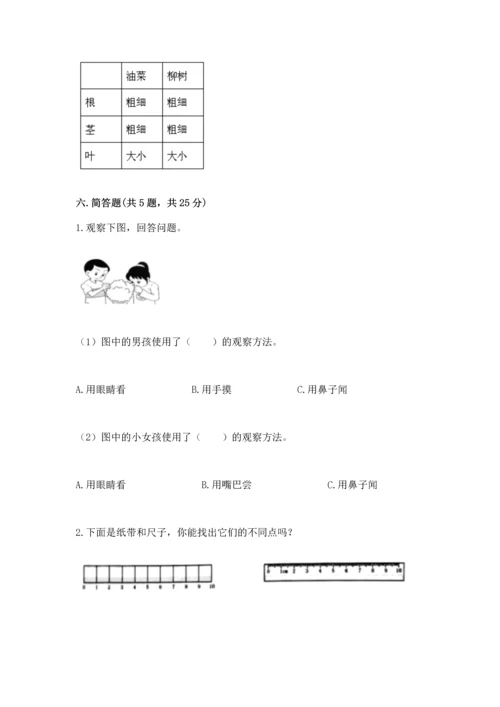 教科版科学一年级上册期末测试卷及完整答案1套.docx