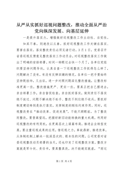 从严从实抓好巡视问题整改，推动全面从严治党向纵深发展、向基层延伸.docx