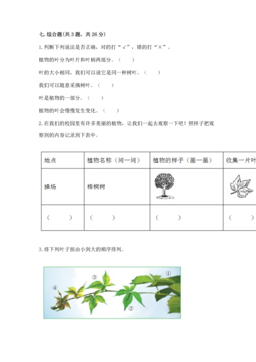 教科版科学一年级上册第一单元《植物》测试卷及完整答案（必刷）.docx