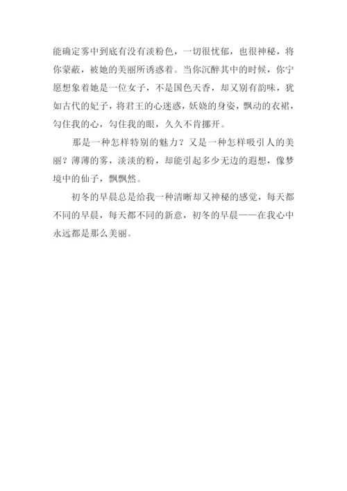初冬的早晨作文800字.docx