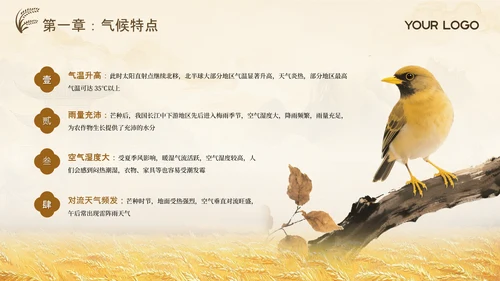黄色古风中国传统文化二十四节气芒种课堂科普PPT模板