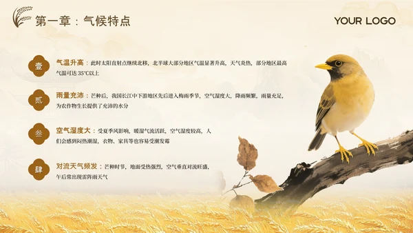 黄色古风中国传统文化二十四节气芒种课堂科普PPT模板