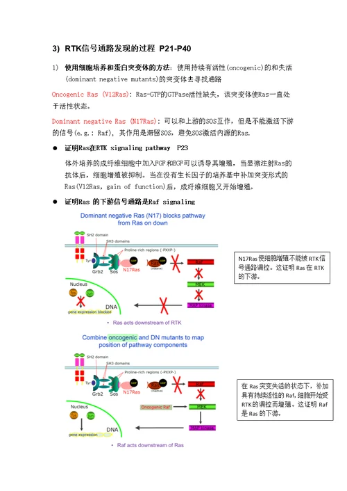 细胞生物学复习资料-General Mechanisms of Signal Transduction II