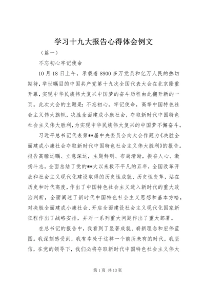 学习十九大报告心得体会例文.docx