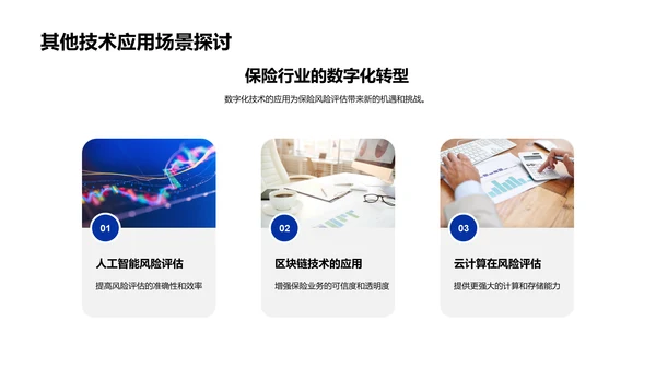 保险风险评估述职