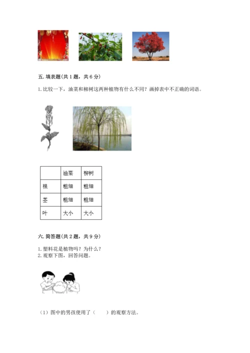 教科版科学一年级上册第一单元《植物》测试卷含完整答案（考点梳理）.docx