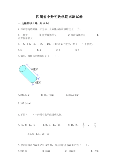 四川省小升初数学期末测试卷及参考答案一套.docx