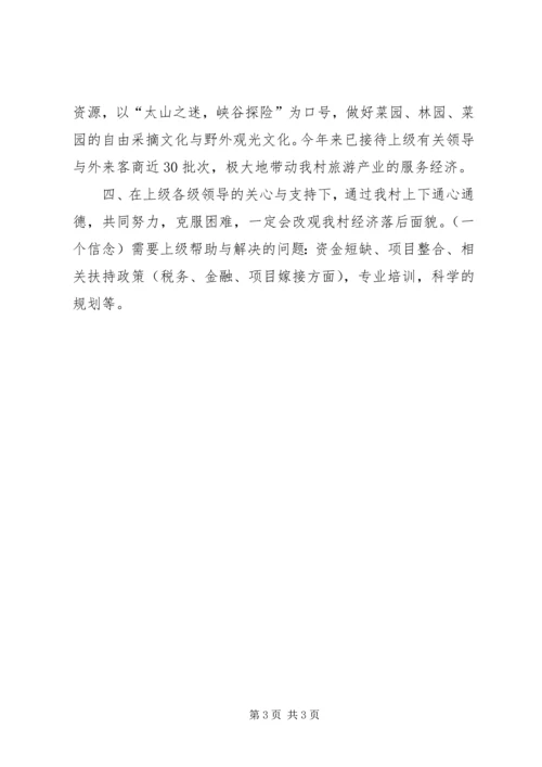 发展壮大村级集体经济汇报材料.docx