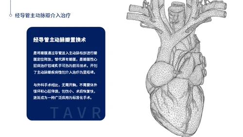心脏瓣膜病介入治疗通用PPT模板