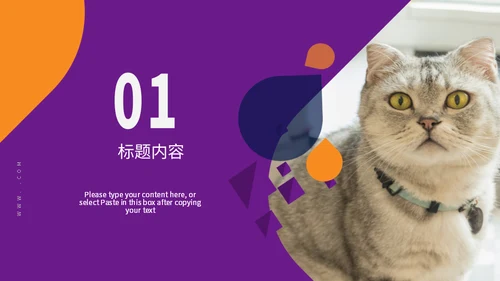 宠物小狗狗泰迪犬通用PPT模板