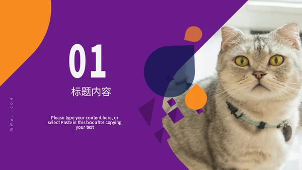 宠物小狗狗泰迪犬通用PPT模板