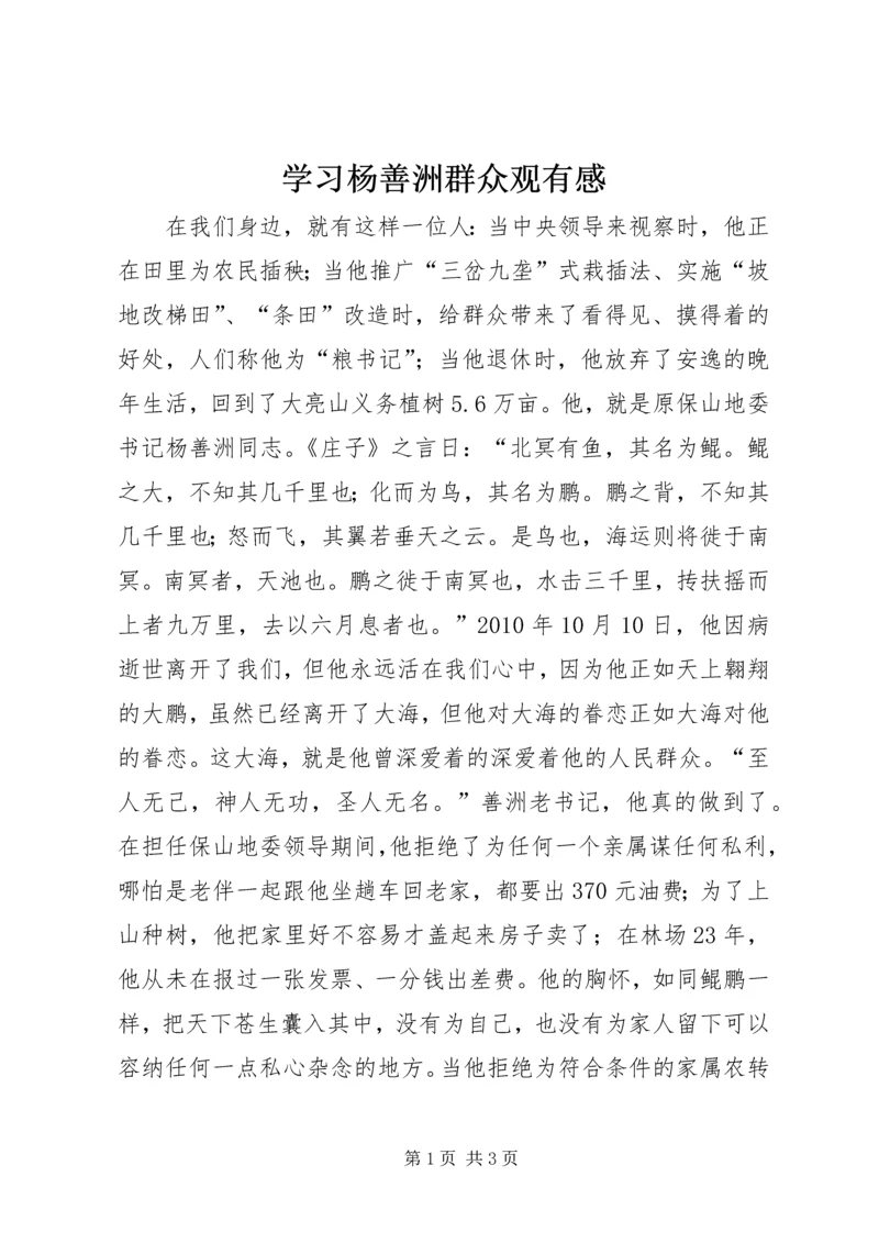 学习杨善洲群众观有感.docx