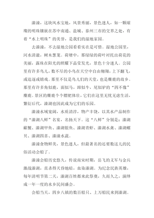 关于溱湖的作文-1.docx